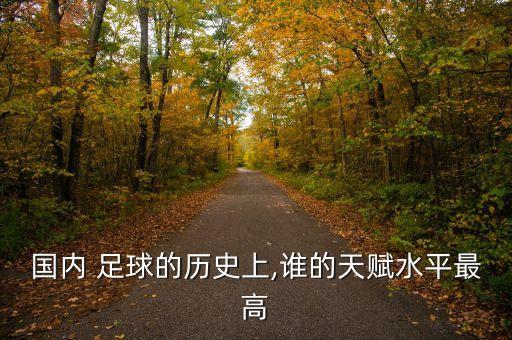 國(guó)內(nèi) 足球的歷史上,誰的天賦水平最高