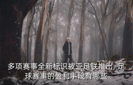 多項(xiàng)賽事全新標(biāo)識(shí)被亞足聯(lián)推出, 足球賽事的盈利手段有哪些