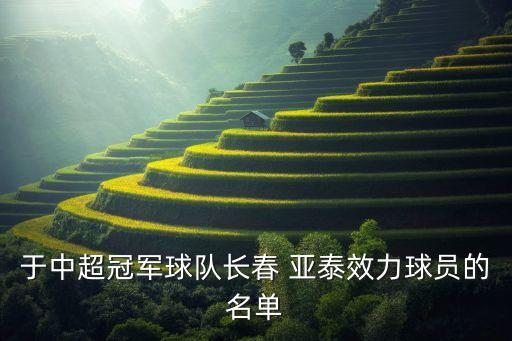 于中超冠軍球隊(duì)長(zhǎng)春 亞泰效力球員的名單
