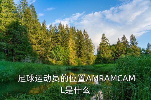  足球運(yùn)動(dòng)員的位置AMRAMCAML是什么