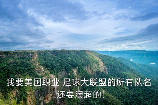 我要美國(guó)職業(yè) 足球大聯(lián)盟的所有隊(duì)名!還要澳超的!