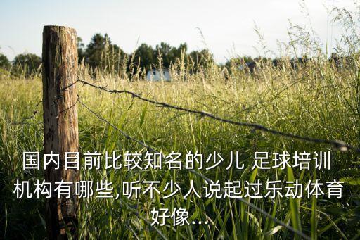 國(guó)內(nèi)目前比較知名的少兒 足球培訓(xùn) 機(jī)構(gòu)有哪些,聽不少人說起過樂動(dòng)體育好像...