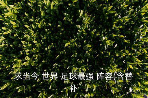 求當今 世界 足球最強 陣容(含替補