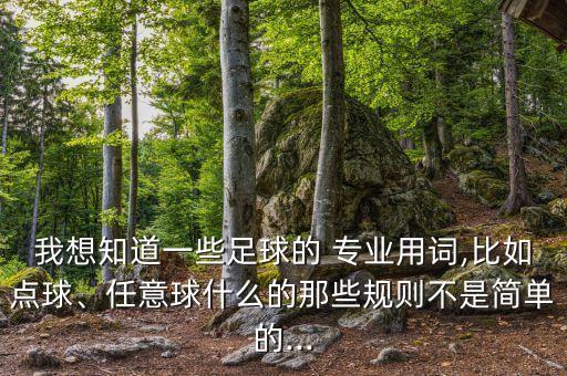 我想知道一些足球的 專(zhuān)業(yè)用詞,比如點(diǎn)球、任意球什么的那些規(guī)則不是簡(jiǎn)單的...