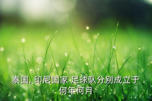 印尼 足球,印尼足球聯(lián)賽嚴重沖突已致127人死亡