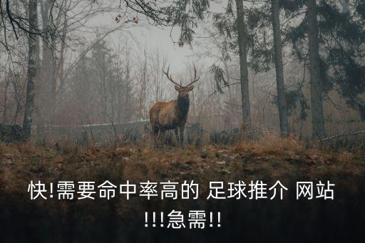 買(mǎi)足球的網(wǎng)站哪個(gè)好,網(wǎng)上買(mǎi)足球哪個(gè)APP好