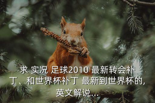 求 實(shí)況 足球2010 最新轉(zhuǎn)會(huì)補(bǔ)丁、和世界杯補(bǔ)丁 最新到世界杯的,英文解說(shuō)...