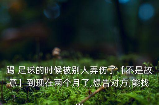 踢 足球的時候被別人弄傷了【不是故意】到現在兩個月了,想告對方,能找...