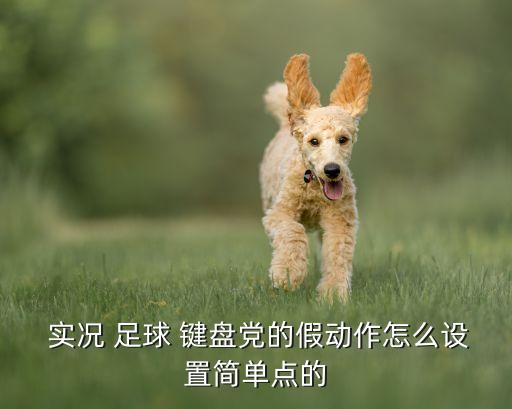  實況 足球 鍵盤黨的假動作怎么設(shè)置簡單點的