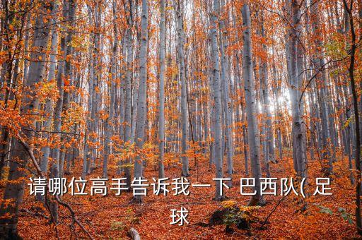 請哪位高手告訴我一下 巴西隊( 足球