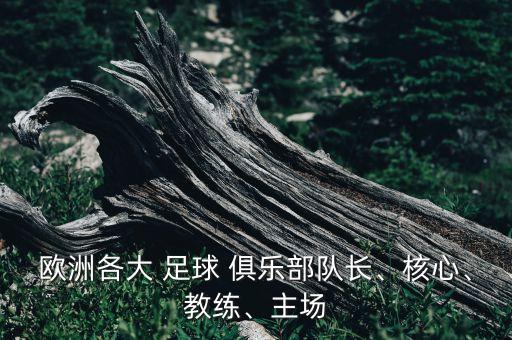 歐洲各大 足球 俱樂部隊長、核心、教練、主場
