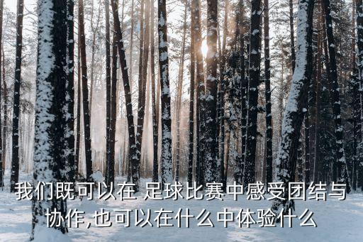 我們既可以在 足球比賽中感受團(tuán)結(jié)與協(xié)作,也可以在什么中體驗什么