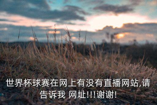 世界杯球賽在網(wǎng)上有沒有直播網(wǎng)站,請(qǐng)告訴我 網(wǎng)址!!!謝謝!