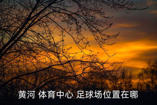 濟(jì)南體育學(xué)校兒童足球場,濟(jì)南黃河體育足球場
