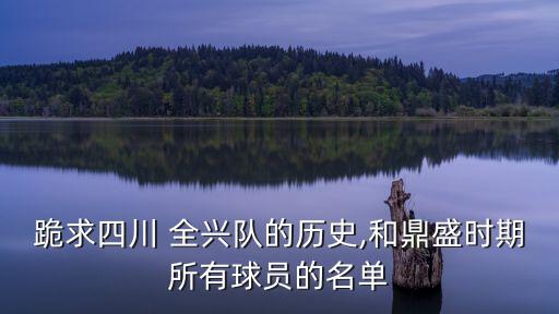 跪求四川 全興隊的歷史,和鼎盛時期所有球員的名單