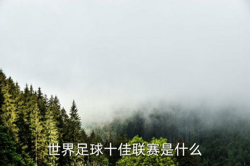 世界足球十佳聯賽是什么