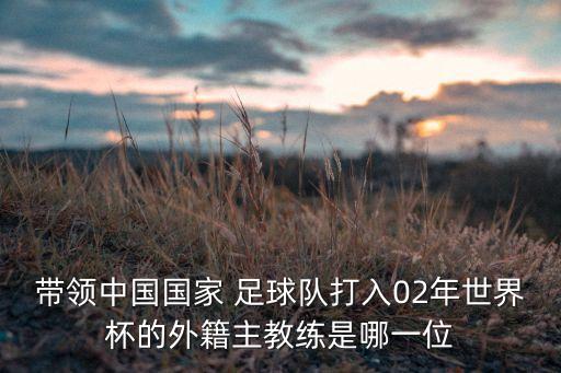 帶領中國國家 足球隊打入02年世界杯的外籍主教練是哪一位
