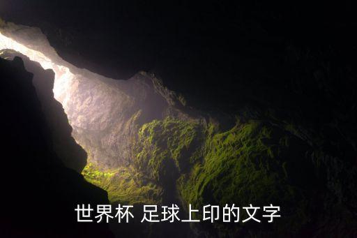 體育標(biāo)識 足球,足球標(biāo)識logo
