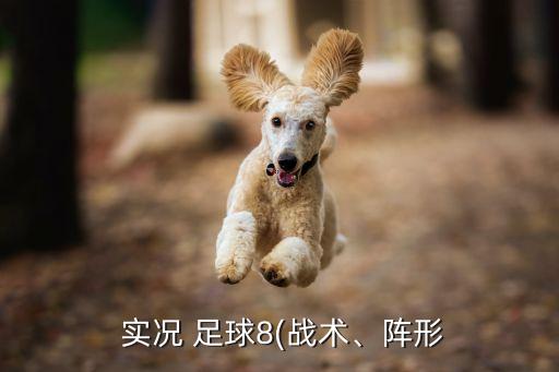  實況 足球8(戰(zhàn)術、陣形
