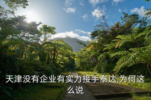 天津沒有企業(yè)有實(shí)力接手泰達(dá),為何這么說