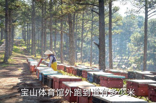 寶山區(qū)室內(nèi)足球場,室內(nèi)足球場建設(shè)大概要多少費(fèi)用