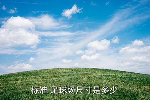 標(biāo)準(zhǔn) 足球場尺寸是多少