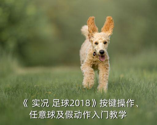 實況足球 讀取數(shù)據(jù)庫,大眾評球實況足球數(shù)據(jù)庫