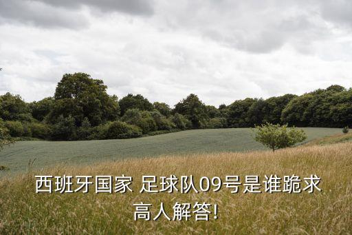  西班牙國家 足球隊(duì)09號(hào)是誰跪求高人解答!