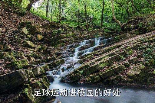 足球運(yùn)動進(jìn)校園的好處