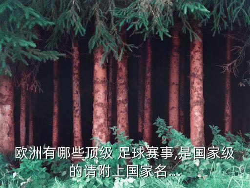 歐洲有哪些頂級(jí) 足球賽事,是國家級(jí)的請(qǐng)附上國家名...