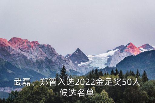 武磊、鄭智入選2022金足獎50人候選名單