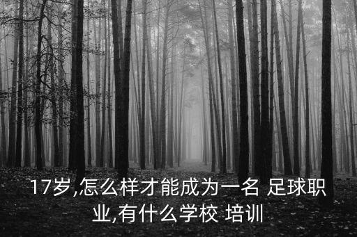 高校足球出國(guó)培訓(xùn),高校教師出國(guó)培訓(xùn)管理辦法