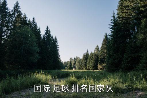 國(guó)際 足球 排名國(guó)家隊(duì)