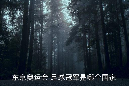 東京奧運(yùn)會 足球冠軍是哪個(gè)國家