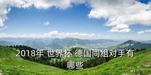 2018世界杯足球德國陣容,意大利足球2018世界杯國家隊陣容