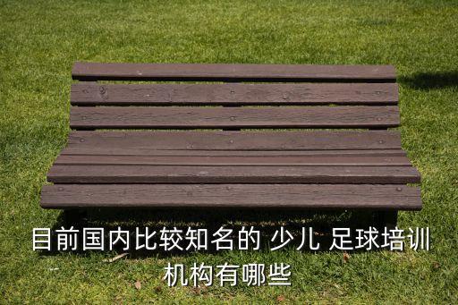 目前國內(nèi)比較知名的 少兒 足球培訓(xùn)機構(gòu)有哪些