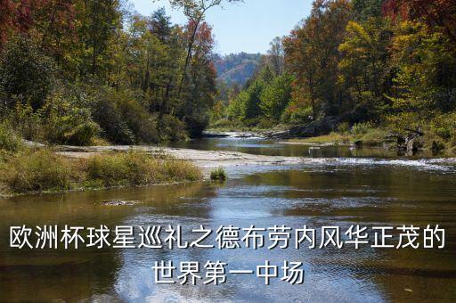 歐洲杯球星巡禮之德布勞內風華正茂的世界第一中場