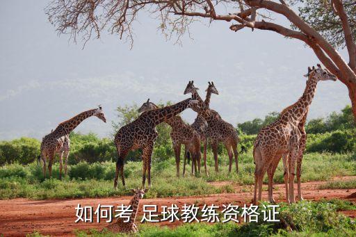 成都足球e級教練員培訓(xùn),2022足球教練員培訓(xùn)報名時間