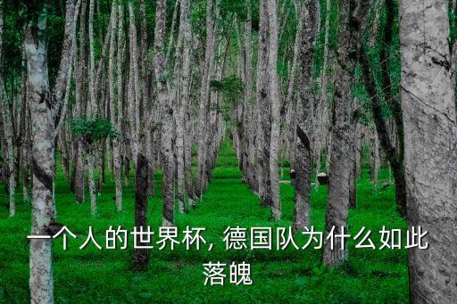 一個人的世界杯, 德國隊(duì)為什么如此落魄