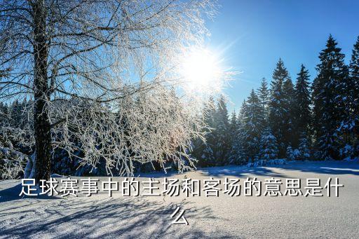  足球賽事中的主場(chǎng)和客場(chǎng)的意思是什么