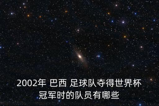 2002年 巴西 足球隊奪得世界杯冠軍時的隊員有哪些