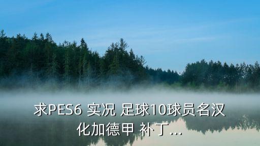 求PES6 實(shí)況 足球10球員名漢化加德甲 補(bǔ)丁...