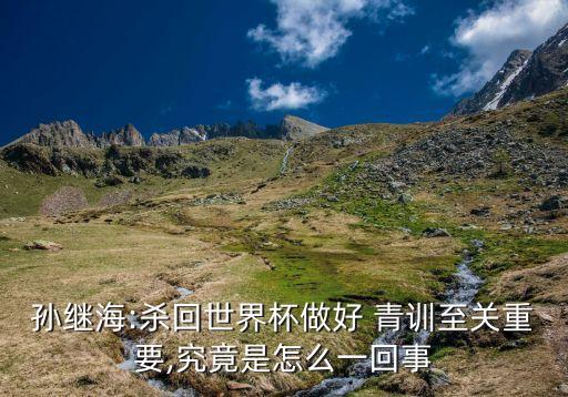 孫繼海:殺回世界杯做好 青訓至關重要,究竟是怎么一回事
