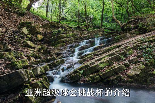 亞洲超級球會挑戰(zhàn)杯的介紹