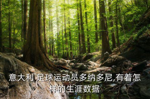 意大利 足球運動員多納多尼,有著怎樣的生涯數(shù)據(jù)