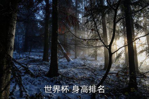 世界杯 身高排名