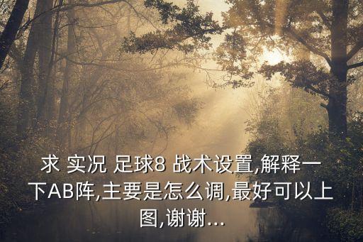 求 實(shí)況 足球8 戰(zhàn)術(shù)設(shè)置,解釋一下AB陣,主要是怎么調(diào),最好可以上圖,謝謝...