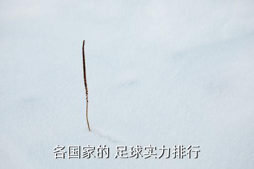 各國家的 足球實力排行