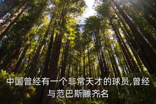 中國曾經(jīng)有一個(gè)非常天才的球員,曾經(jīng)與范巴斯滕齊名