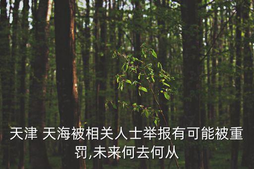 天津 天海被相關人士舉報有可能被重罰,未來何去何從